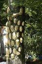 eclat 2006 016 * 2592 x 3872 * (4.51MB)